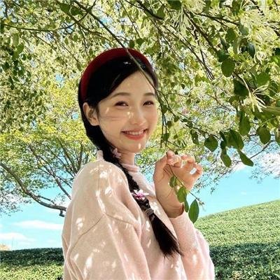 丑小鸭天鹅